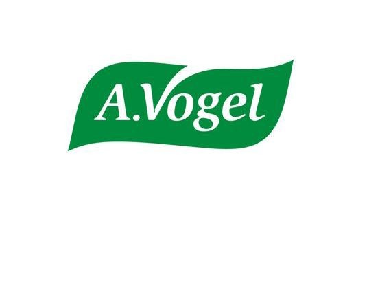 Vogel