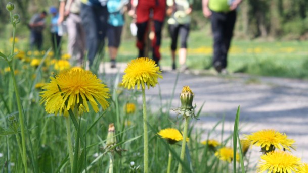 Geführte Wanderungen