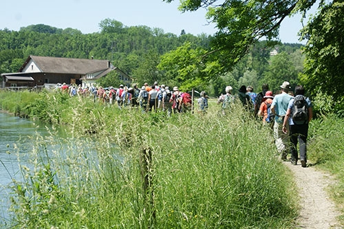 Durch die Wälder am Bodensee