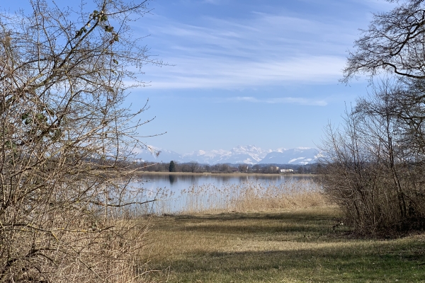 Um den Greifensee