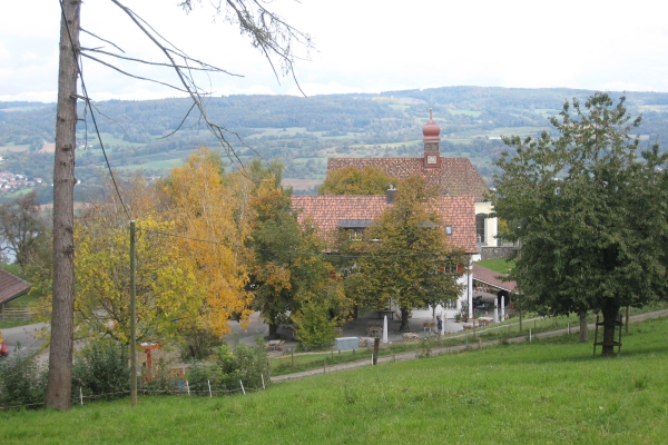 Sicht auf den Untersee