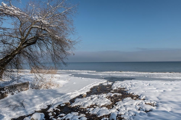 Winterlicher Bodensee