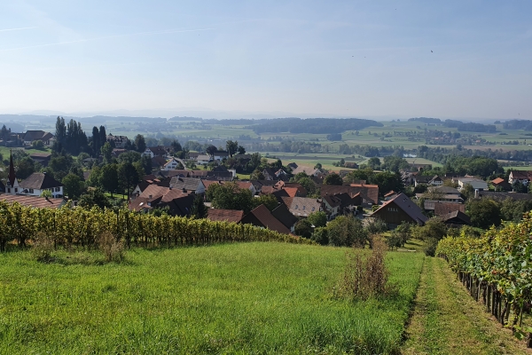 Stein am Rhein - Seebachtal - Frauenfeld