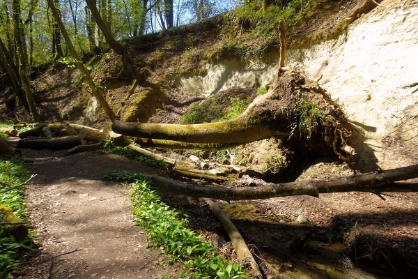 Klingenbachschlucht