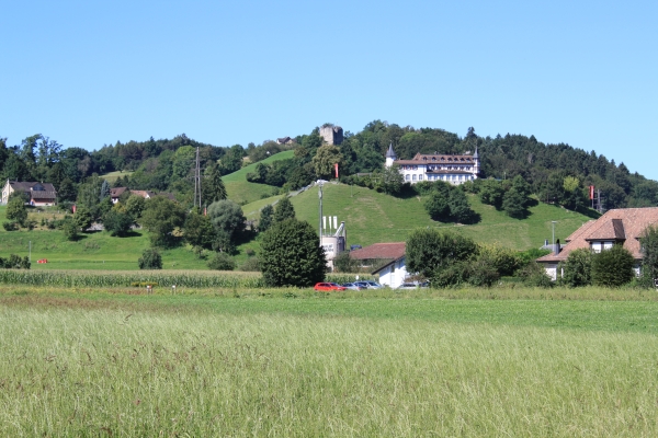 Kurzwanderung im Frühling