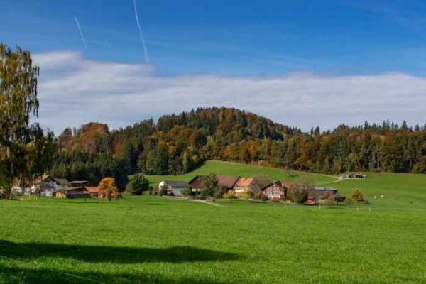 Bichelsee - Haselberg - Aadorf