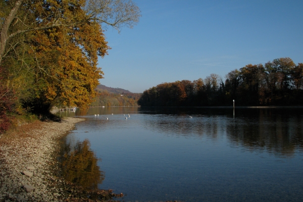 Kühle Sommerwanderung mit Schifffahrt 