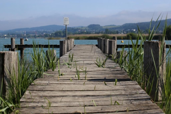 Um den Pfäffikersee