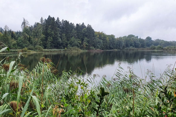 Vorbei an Golfplatz und Schlössern