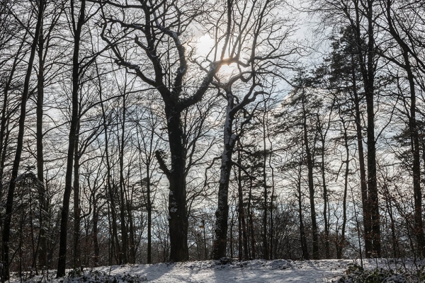 Winterland am Seerückenweg