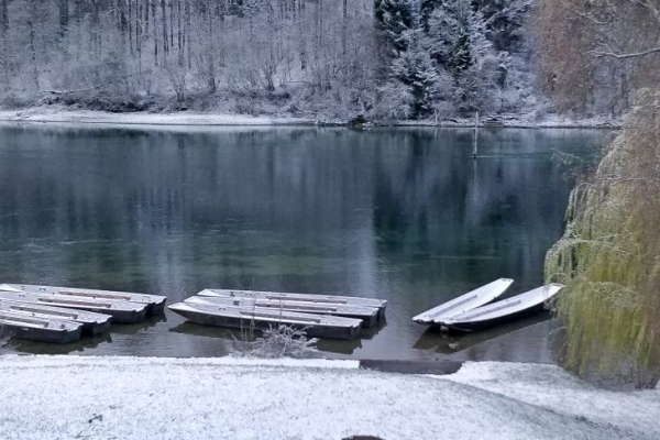 Winterlicher Rhein