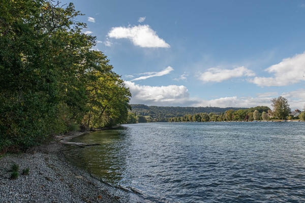 Am Rhein entlang