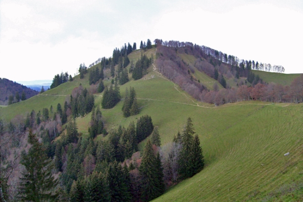 Schnebelhorn