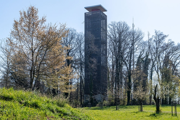 Rundweg Napoleonturm