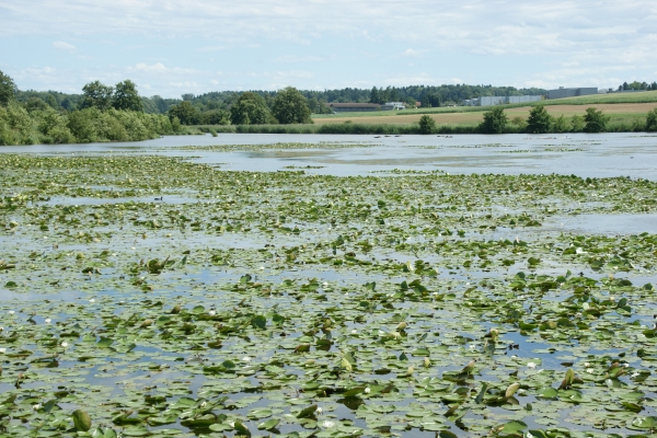 Siegershausen - Kreuzlingen