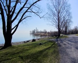 Uferwanderung am Bodensee