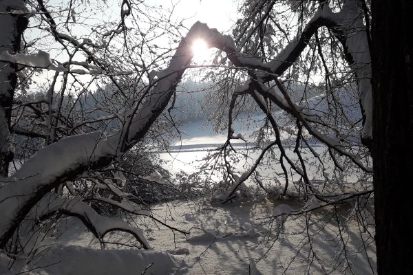 Rundwanderung zur Waldschenke