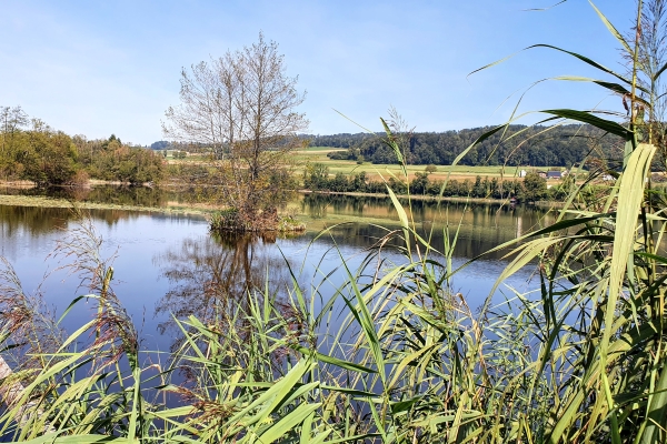 Stein am Rhein - Seebachtal - Frauenfeld