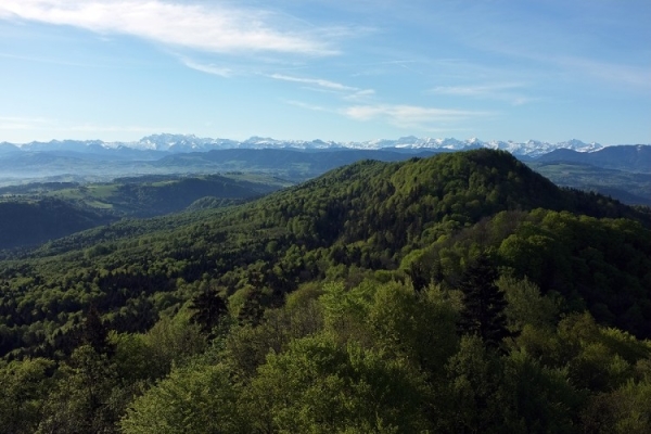 Über dem Zürichsee zum Wildnispark Sihlwald