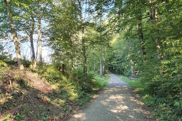 Auf Waldwegen zum Grillplausch