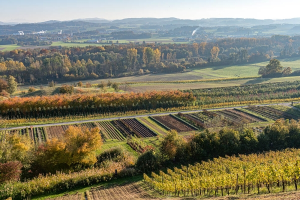 Zum Alpenblick