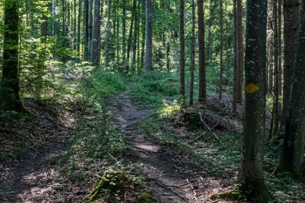 Über Chabishaupt und Rüetschberg