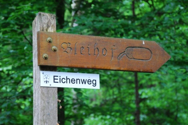 Auf dem Eichenweg durch den Güttinger Wald