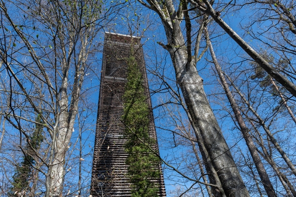 Rundweg Napoleonturm